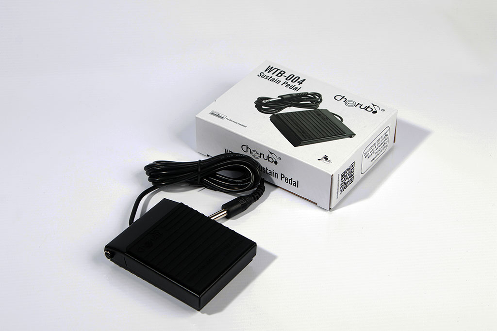 PPS150 PEDAL SUSTAIN WTB.jpg